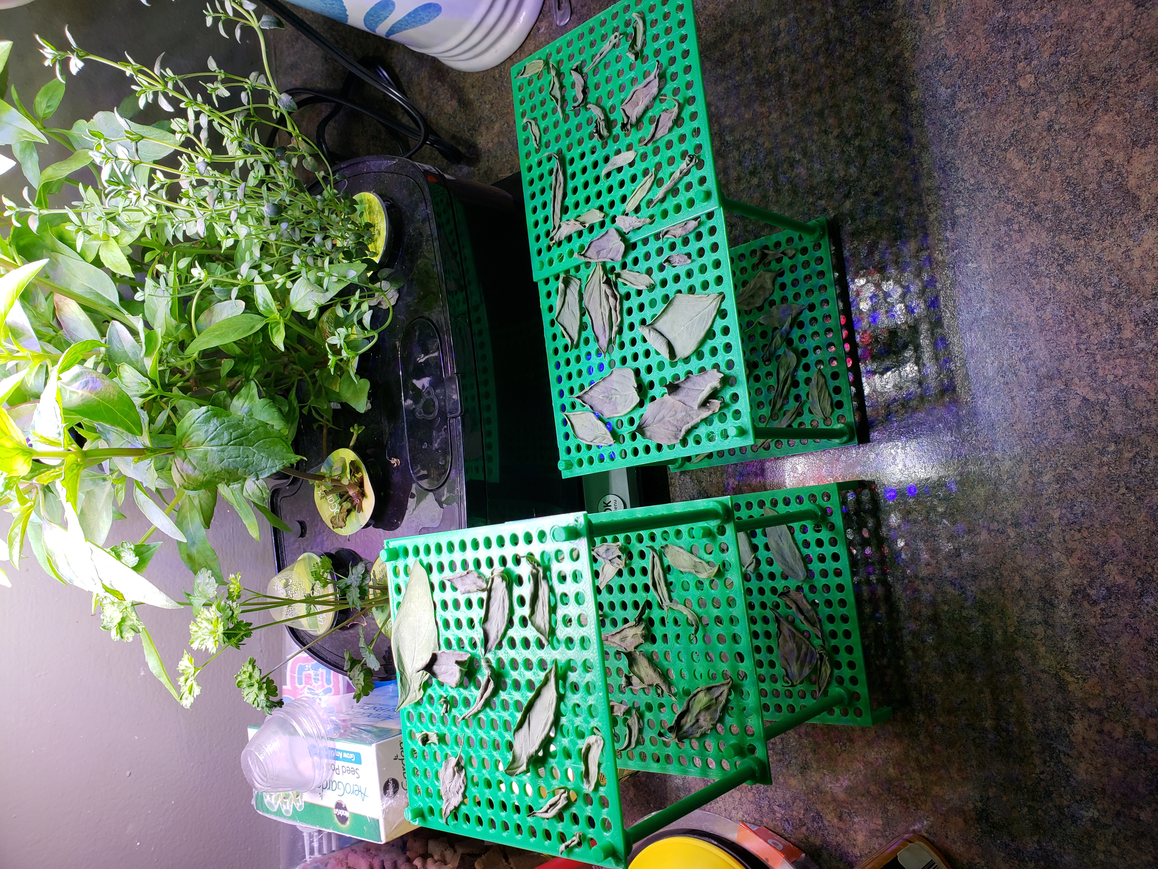 Drying Rack